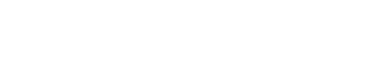 Soluvision